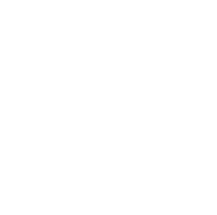 Shuttle Plan